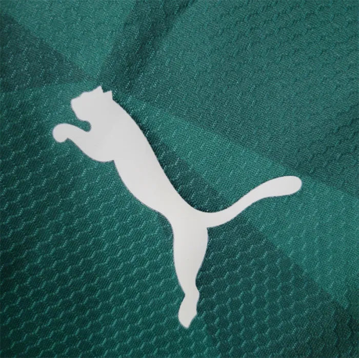 23/24 Palmeiras Home