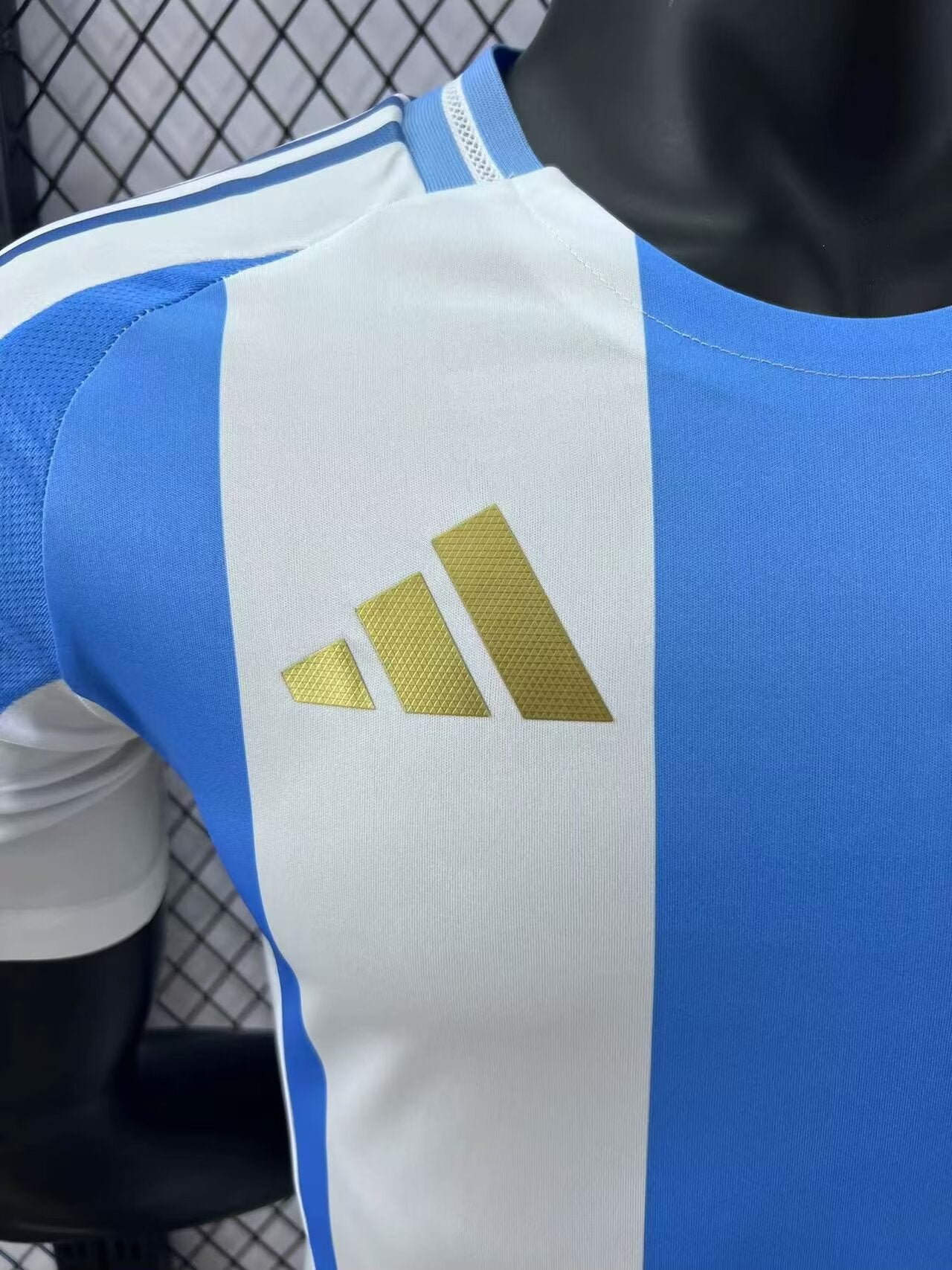 Argentina Home 24/25 (Player Version)