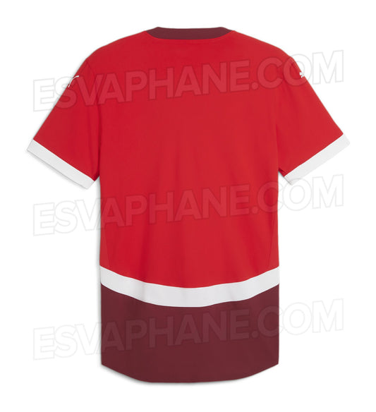 Switzerland Home 24/25