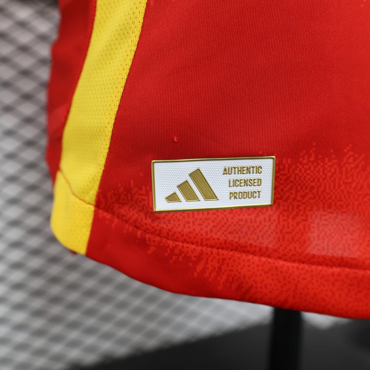 Spain Home 24/25 (Player Version)