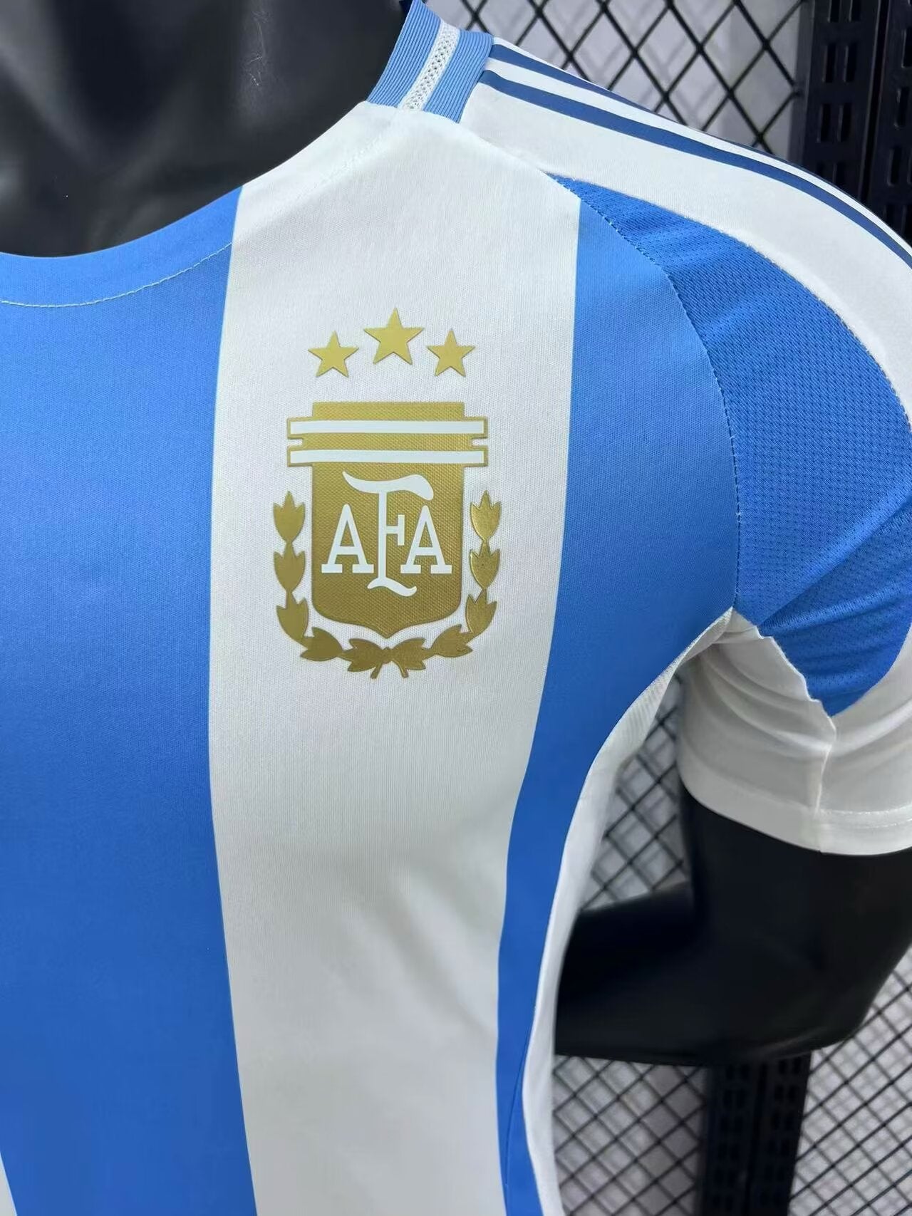 Argentina Home 24/25 (Player Version)