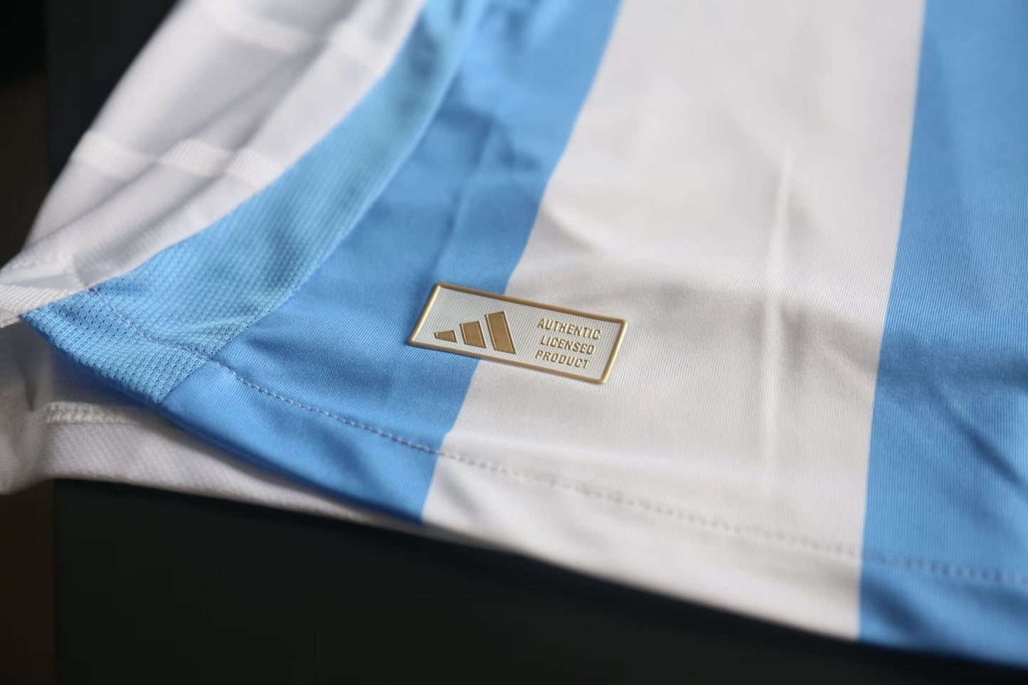 Argentina Home 24/25 (Player Version + World Cup Patch)