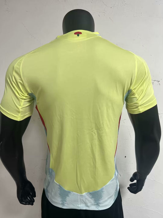 Spain Away 24/25 (Player Version)