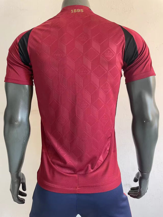 Belgium Home 24/25 (Player Version)