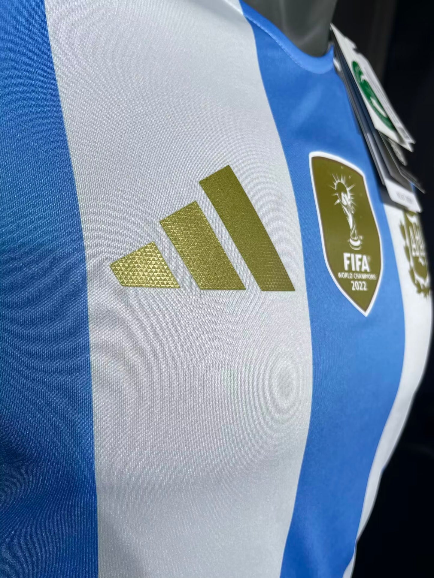 Argentina Home 24/25 (Player Version + World Cup Patch)