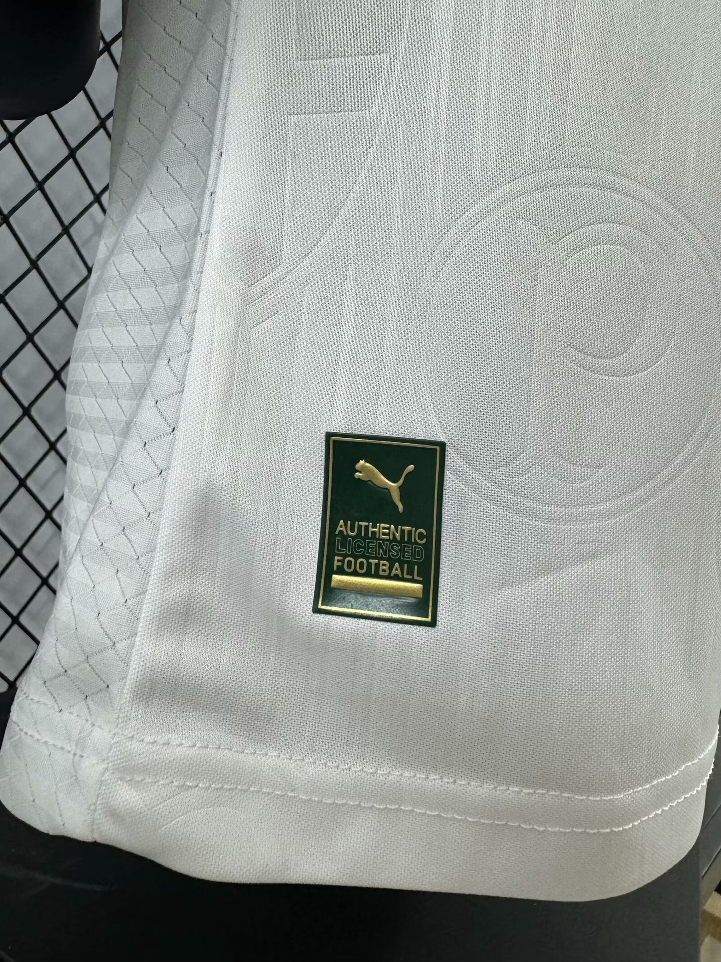 Palmeiras Special Edition 24/25 (110 years - Player Version)