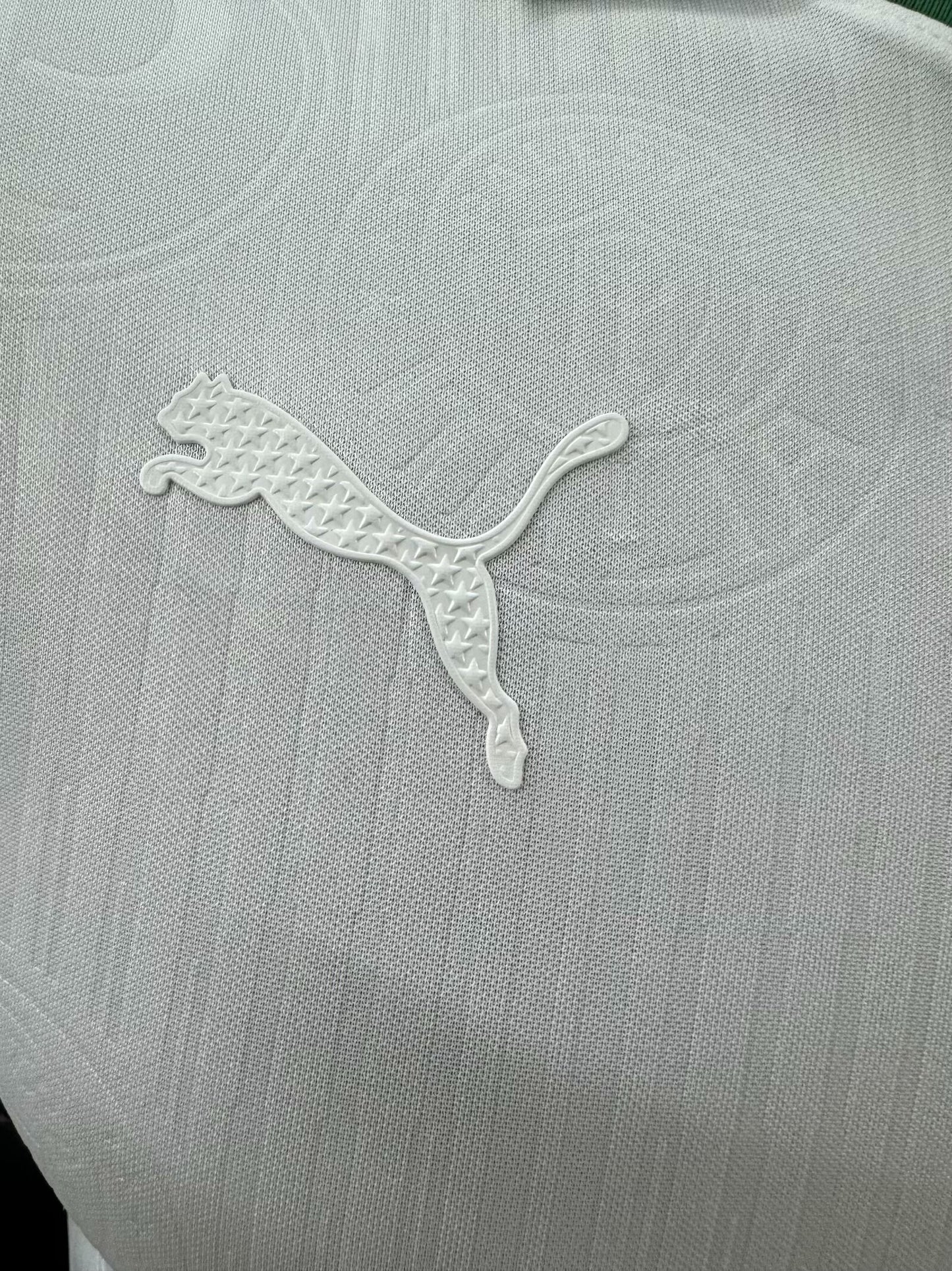 Palmeiras Special Edition 24/25 (110 years - Player Version)
