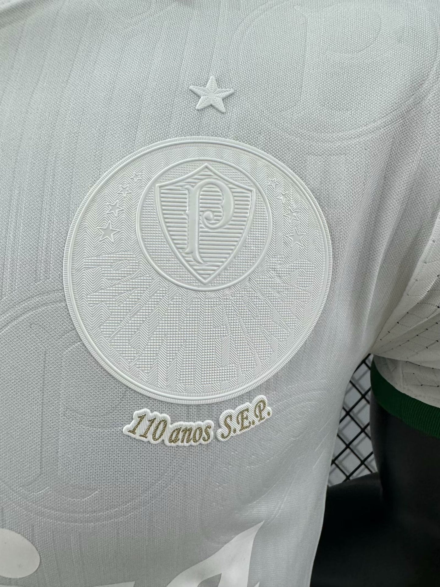 Palmeiras Special Edition 24/25 (110 years - Player Version)