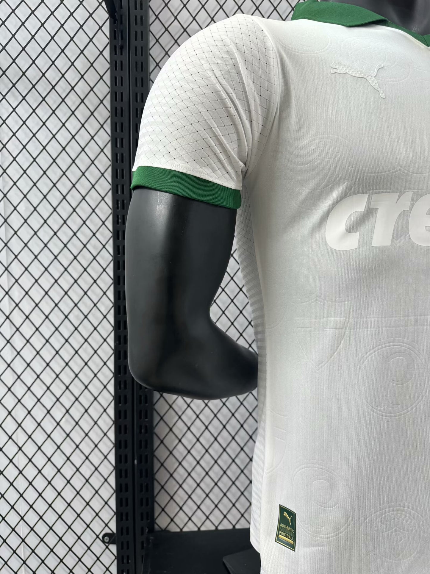Palmeiras Special Edition 24/25 (110 years - Player Version)