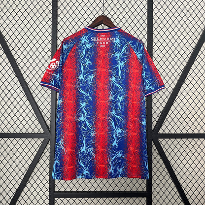 24/25 Crystal Palace Home